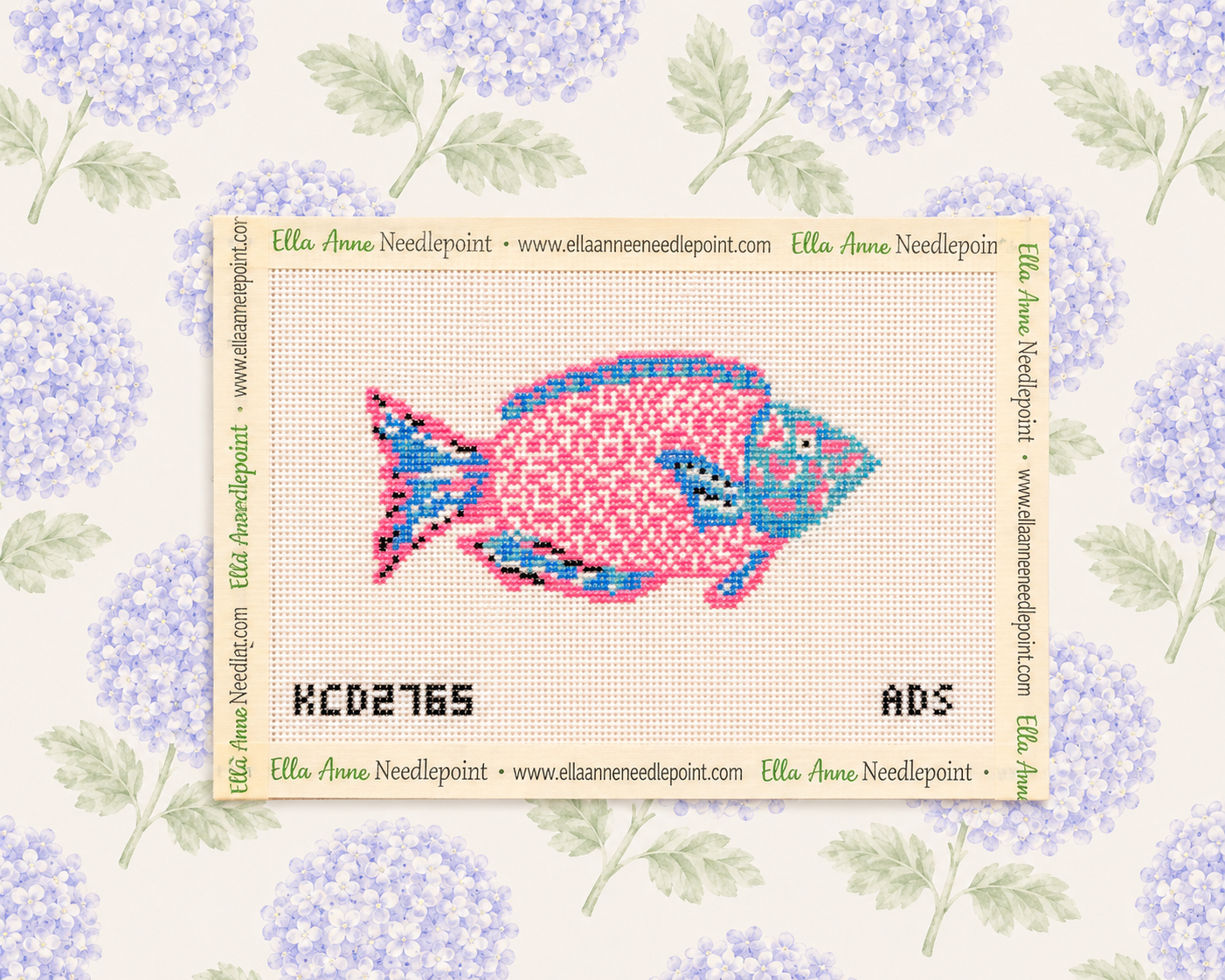 Pink and Turquoise Parrotfish