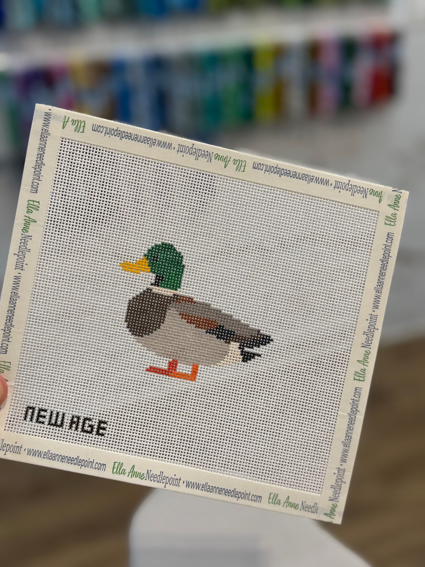 Mallard Duck Canvas