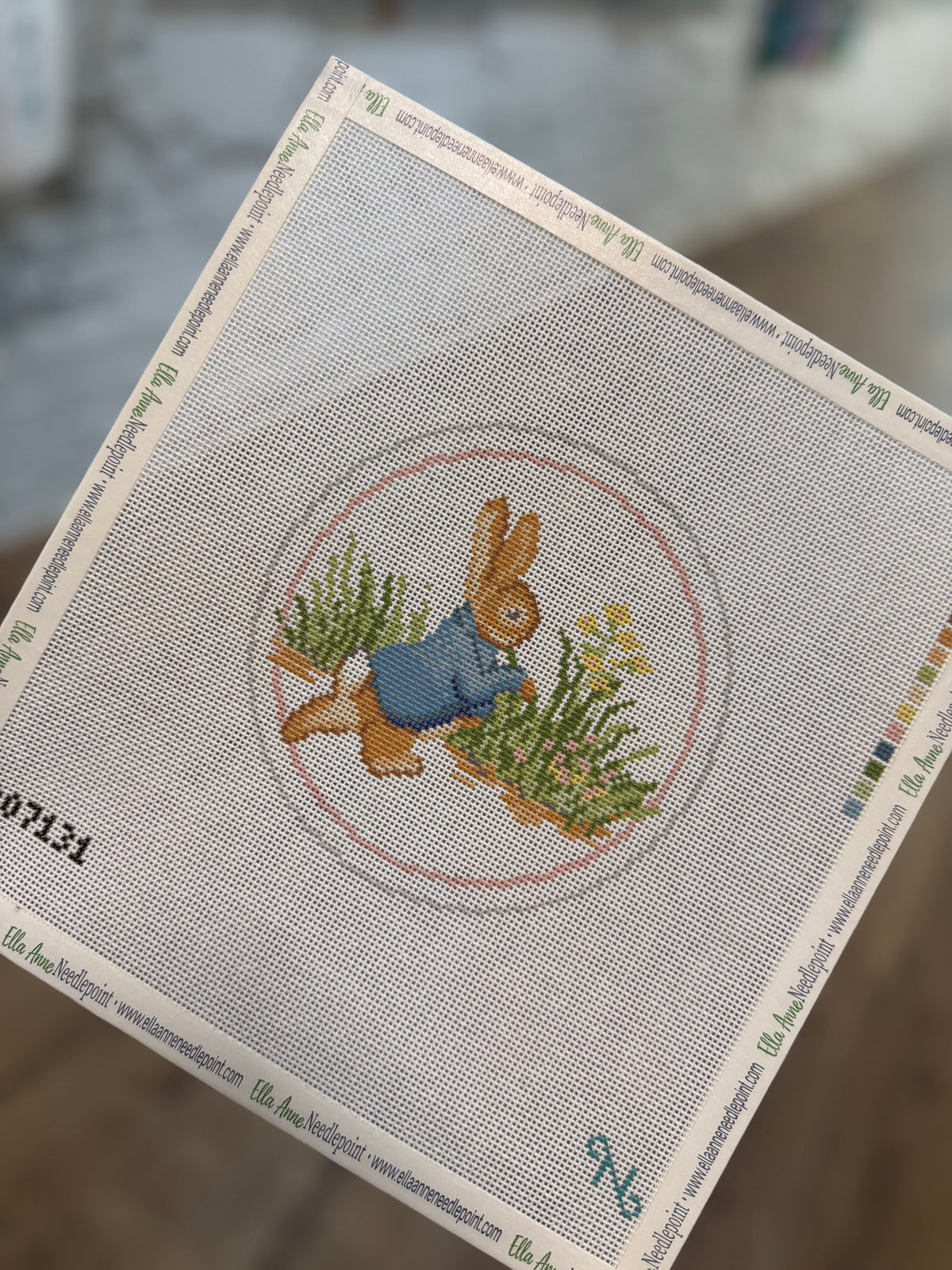 Peter Rabbit Round Canvas