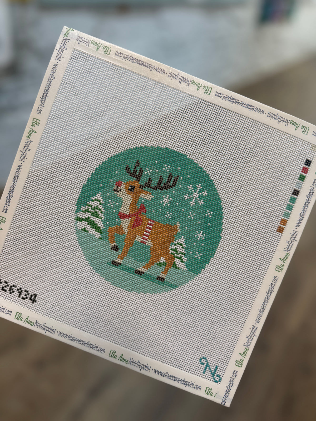 Rudolph Snow Globe Canvas