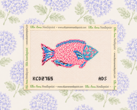 Pink and Turquoise Parrotfish